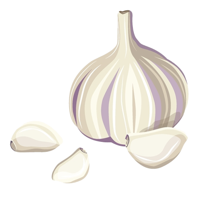 ingredients-icon-Kampek (20)-5227bfe8